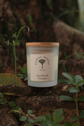 Jasmine & Pomelo Coconut Wax Candle