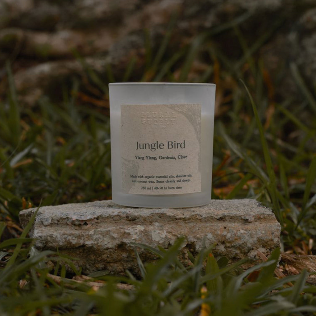 Jungle Bird Coconut Wax Candle